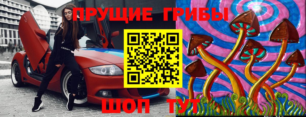 Вятские Поляны  Галлюциногенные грибы Magic Shrooms  Вход с VPN 